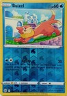 Buizel