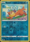 Buizel