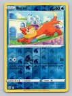 Buizel