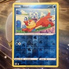 Buizel