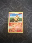 Chimchar