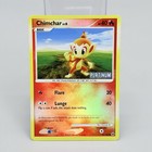 Chimchar