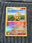 Chimchar