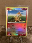 Chimchar