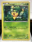Tepig