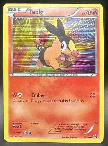 Tepig