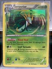 Tepig