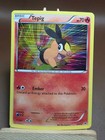 Tepig