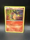 Tepig