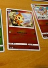 Hoppip