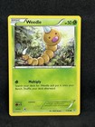 Weedle