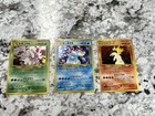 Feraligatr