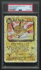 Dark Raichu