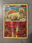 Rapidash