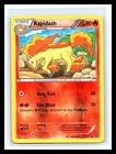 Rapidash