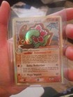 Meganium