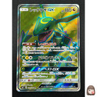_____'s Rayquaza 