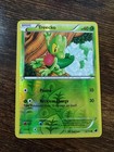 Treecko