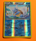 Wartortle