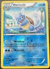 Wartortle