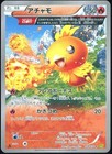 Fiery Torch