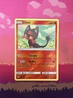 Litten