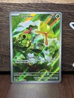 Caterpie