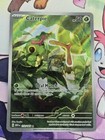 Caterpie