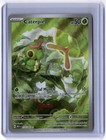 Caterpie