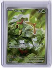 Caterpie