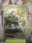 Caterpie