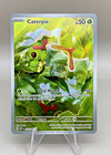 Caterpie