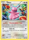 Ditto