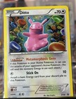 Ditto