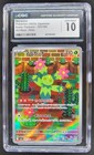 Maractus
