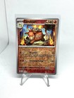 Camerupt