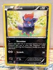 Zorua