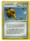 Balloon Berry