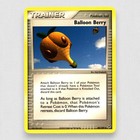 Balloon Berry