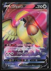 Pidgeot V