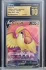 Pidgeot V