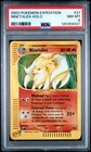 Ninetales