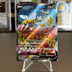 Beedrill V