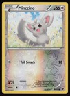 Minccino