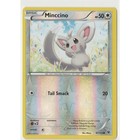 Minccino