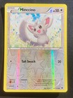 Minccino