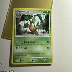 Grovyle