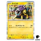 Raikou