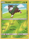 Skiddo