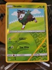 Skiddo